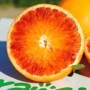 Arance Tarocco Gallo 8kg