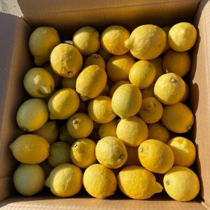Citrony ze Sicílie – Limoni di Sicilia - 8kg